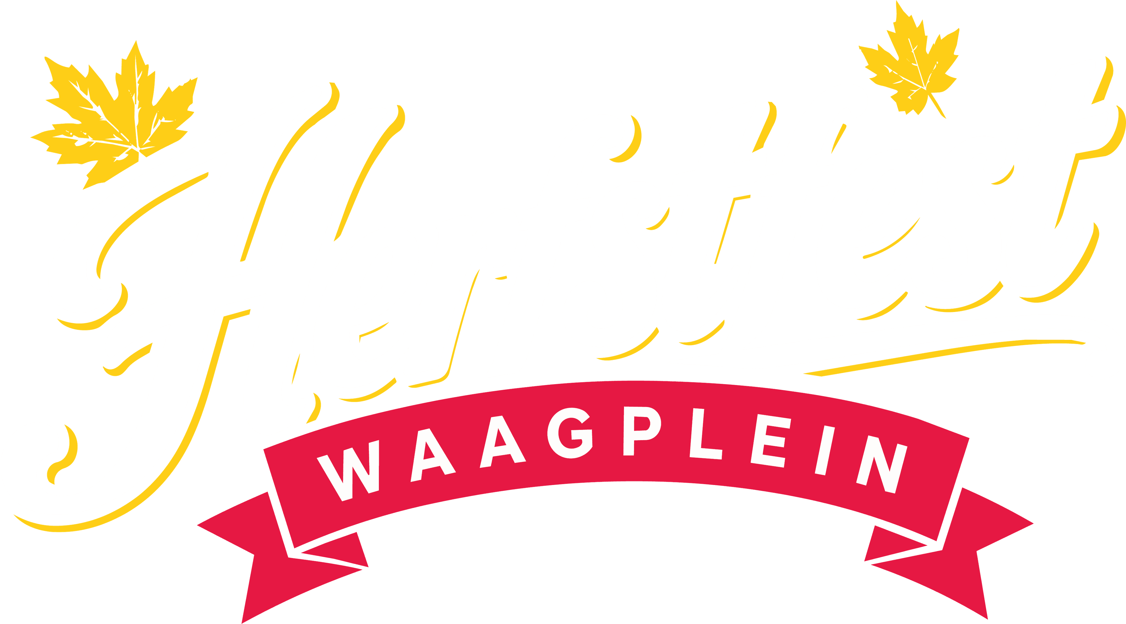 Herfstfest Waagplein